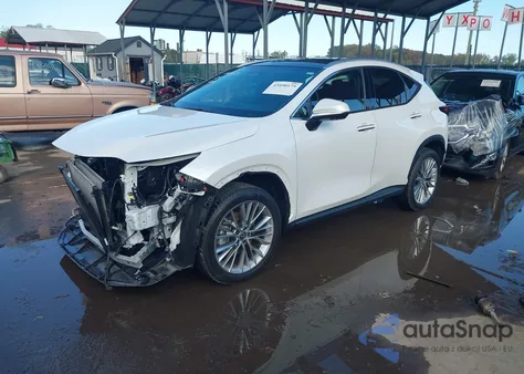 2025 Lexus Nx 350 Luxury z USA, uszkodzony, nr VIN 2T2HGCEZ5SC080407